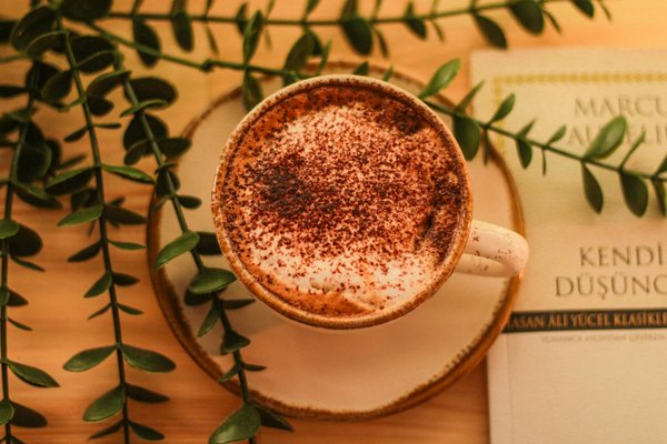 Choisissez votre valise pour la soute Delsey idéale